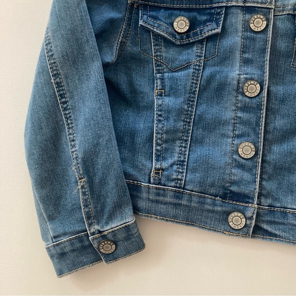 Looney Tunes Kids 4-5 Denim Jacket Tweetie Bird - Picture 7 of 7